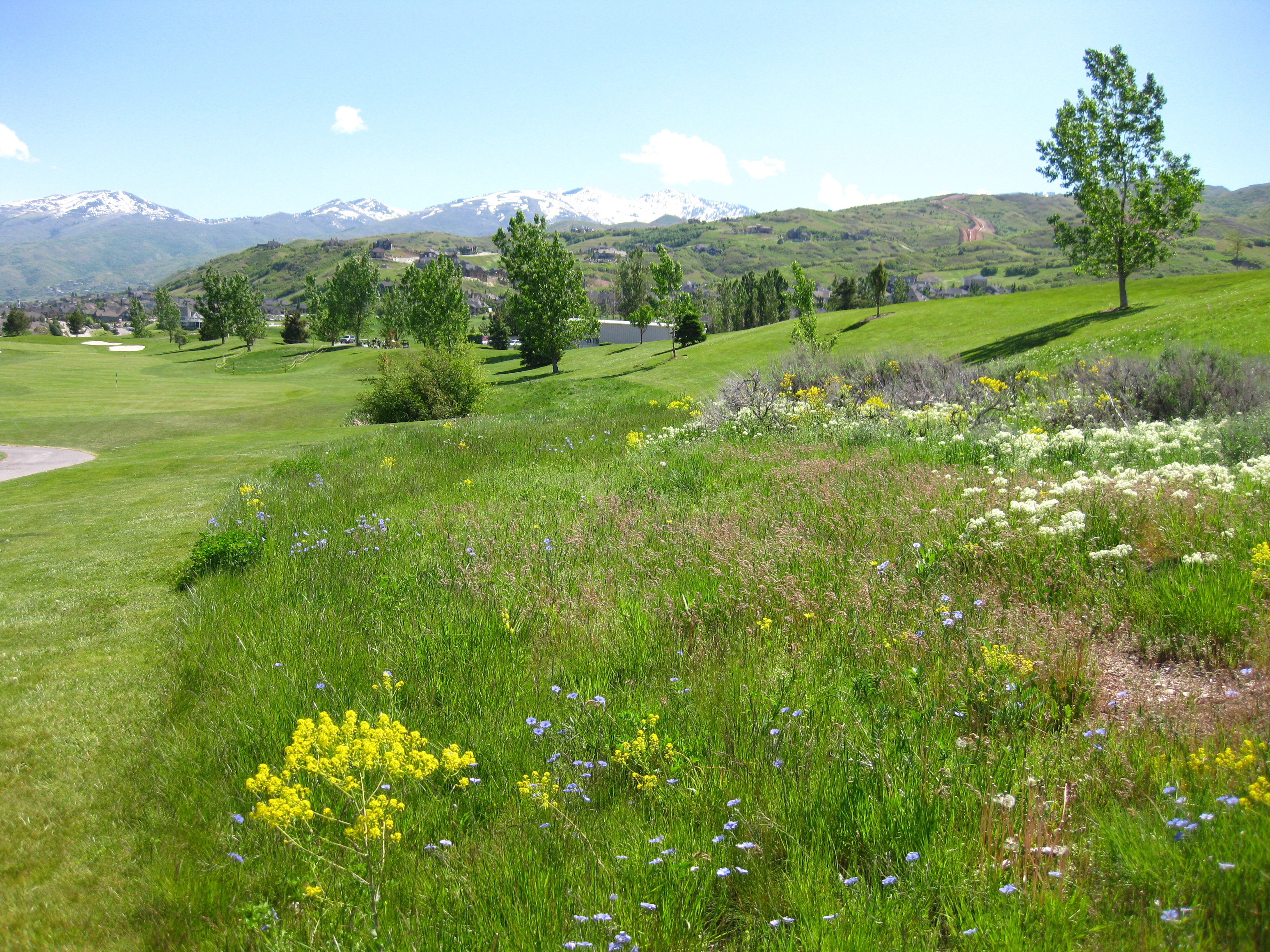 Money Magazine 2 007